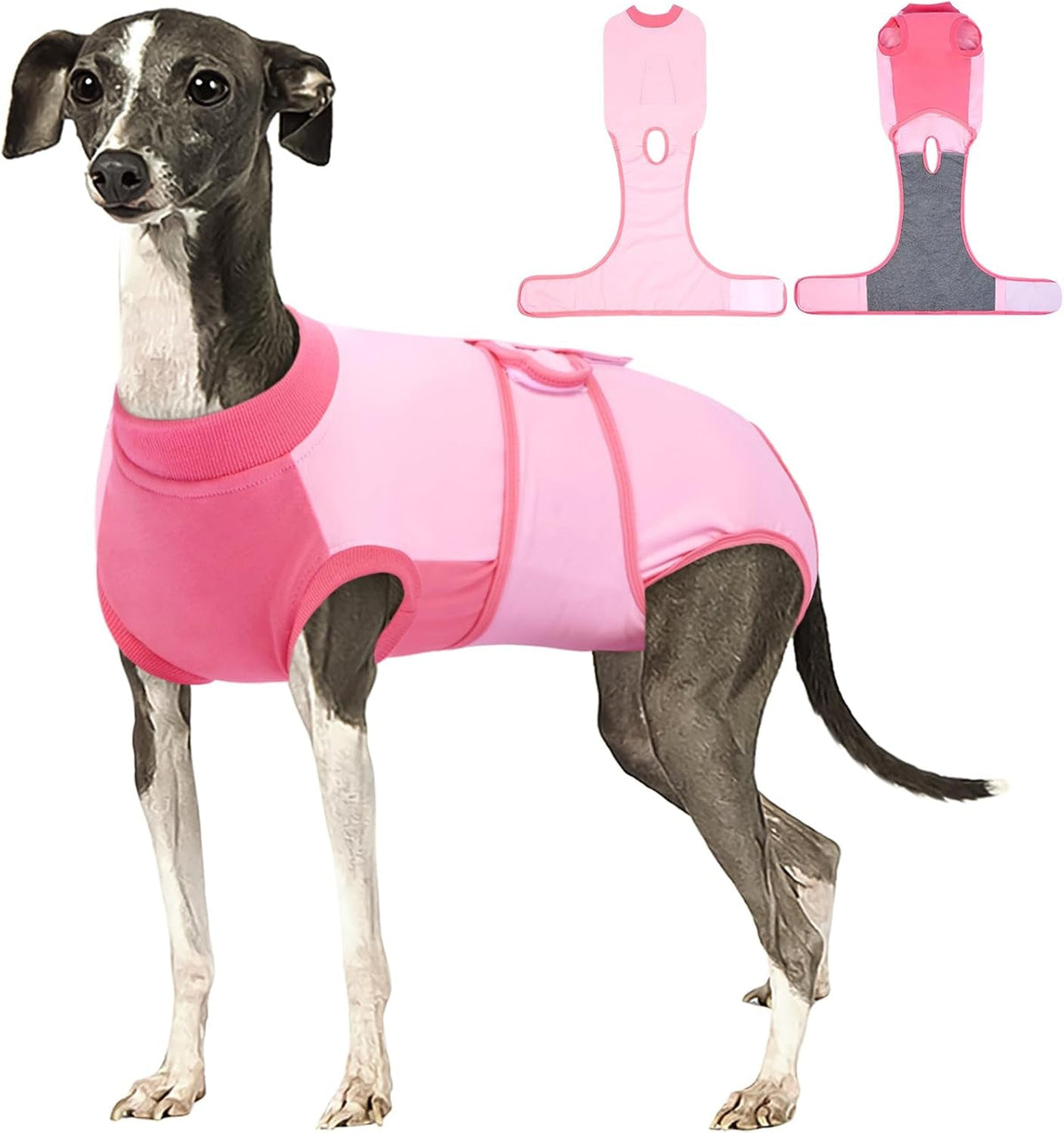 Female Dog Recovery Suit After Spay, XS–2XL