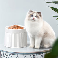 High Leg Neck Protection Large Capacity Anti-tumble Cat Bowl