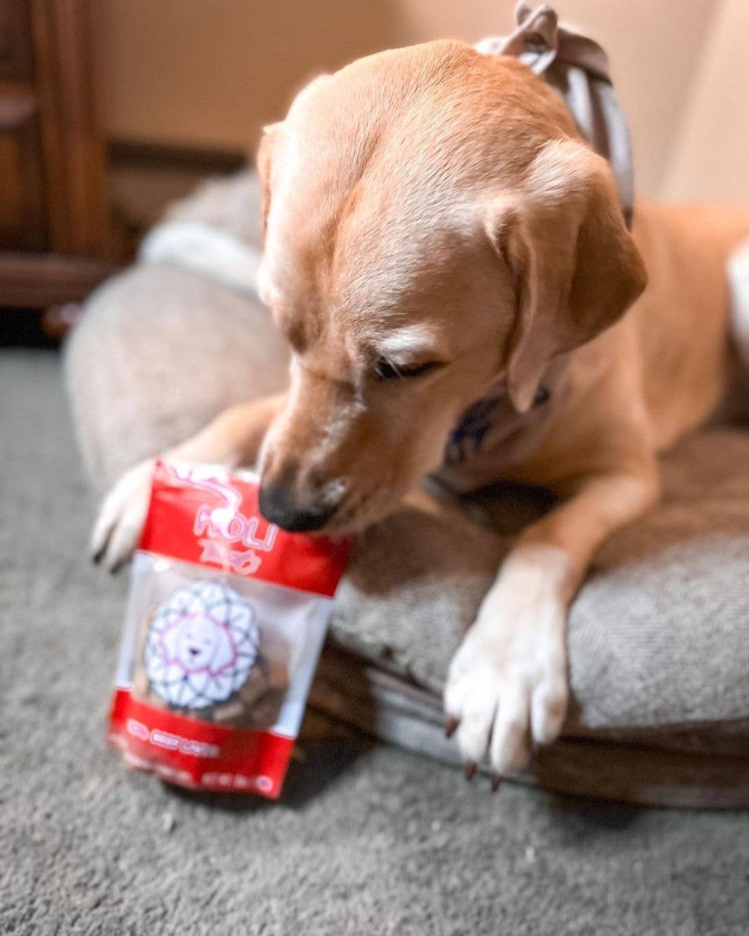 HOLI Freeze Dried Beef Liver Dog Treats, All Natural