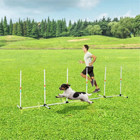 Dog Outdoor Exercise Training Set