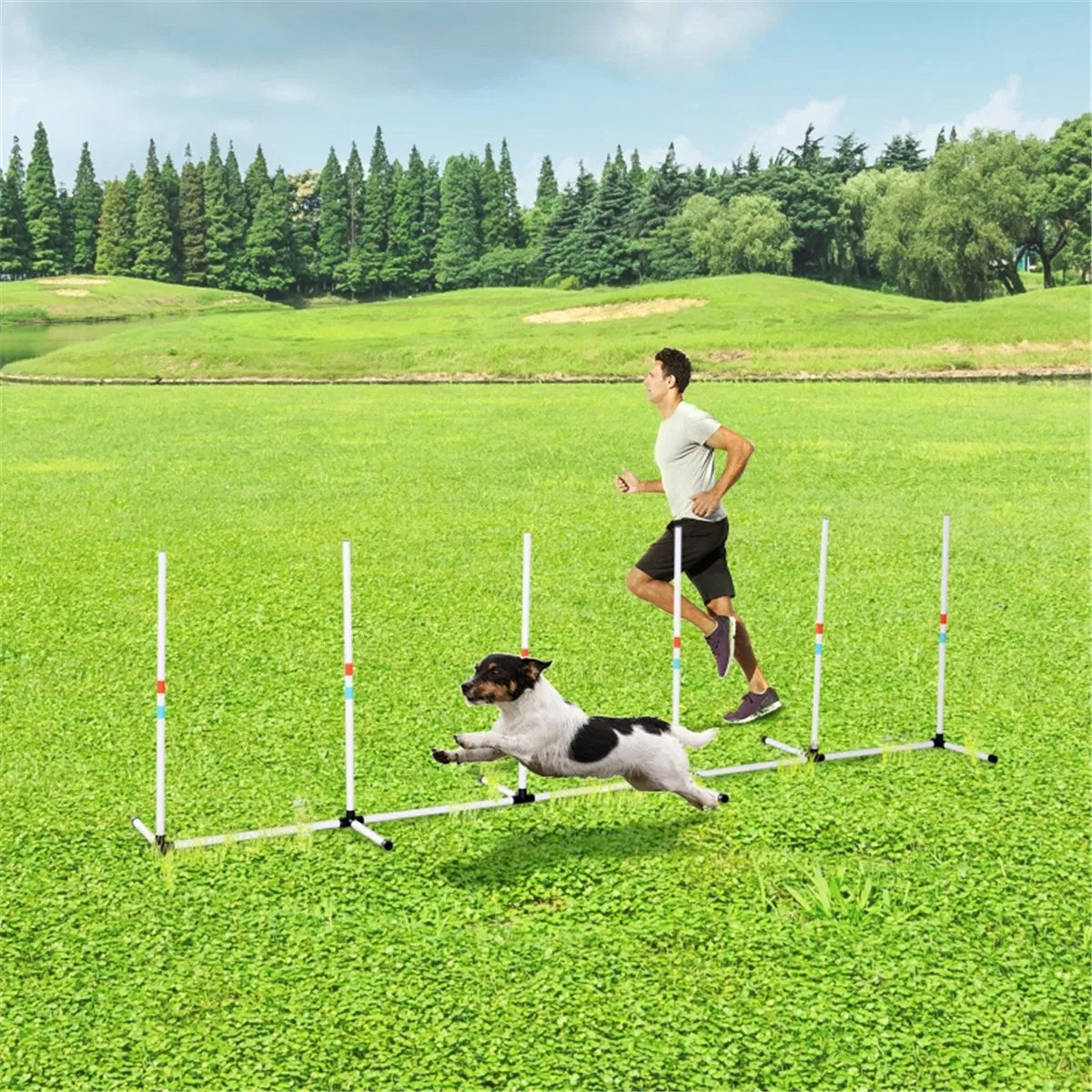 Dog Outdoor Exercise Training Set