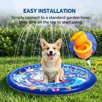 Only Self Pickup---Summer Celebration Fountain Pet Fountain Pad