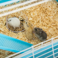 Hamster Cage With Tubes And Tunnels, Portable Carry Handles, Rat House And Habitats Big 5-Tier Design, Mouse Cage Includ