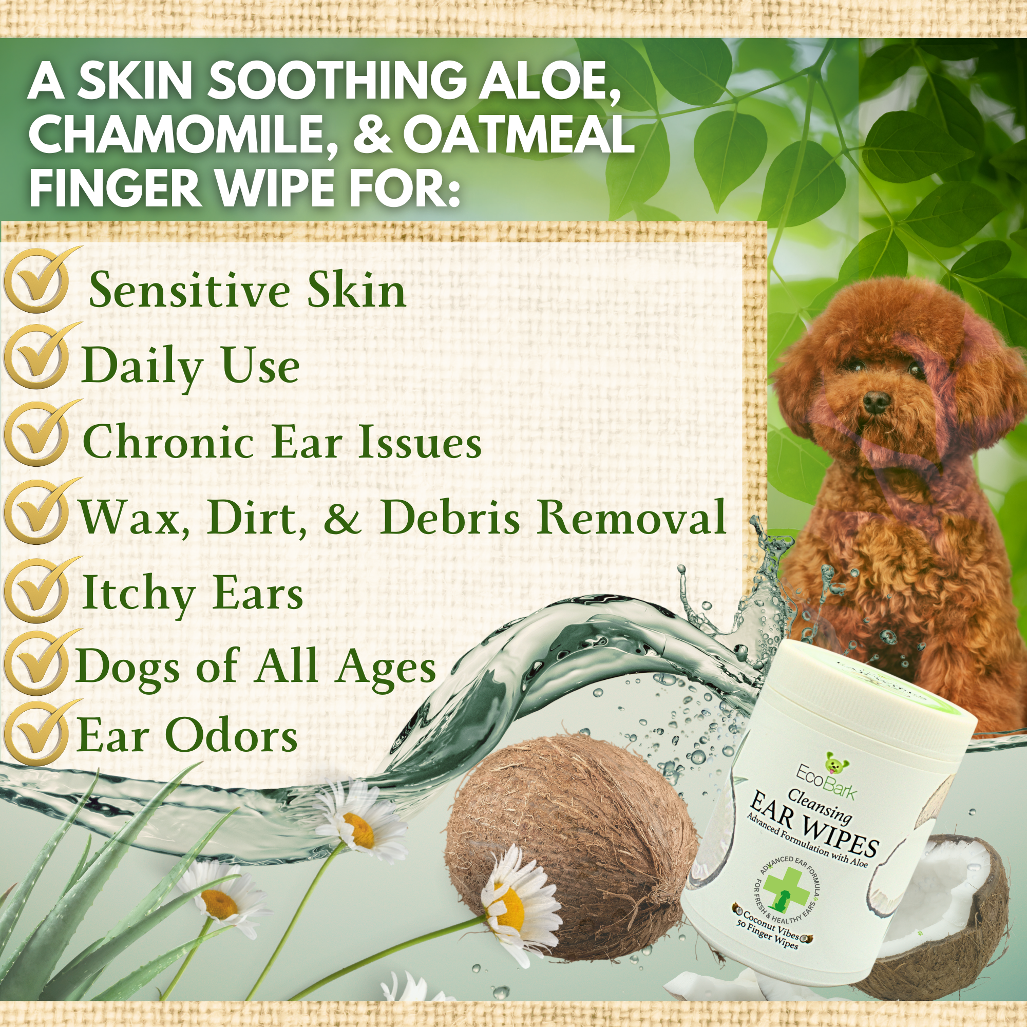 Dog Ear Wipes - Dog Ear Cleaning Wipes by EcoBark - Naturally Coconut Scented - 50 Count Finger Wipes For Puppies and Dogs - BIG FRENCHIES