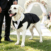 Dog Tuxedo Pet Wedding Groomsmen Outfit
