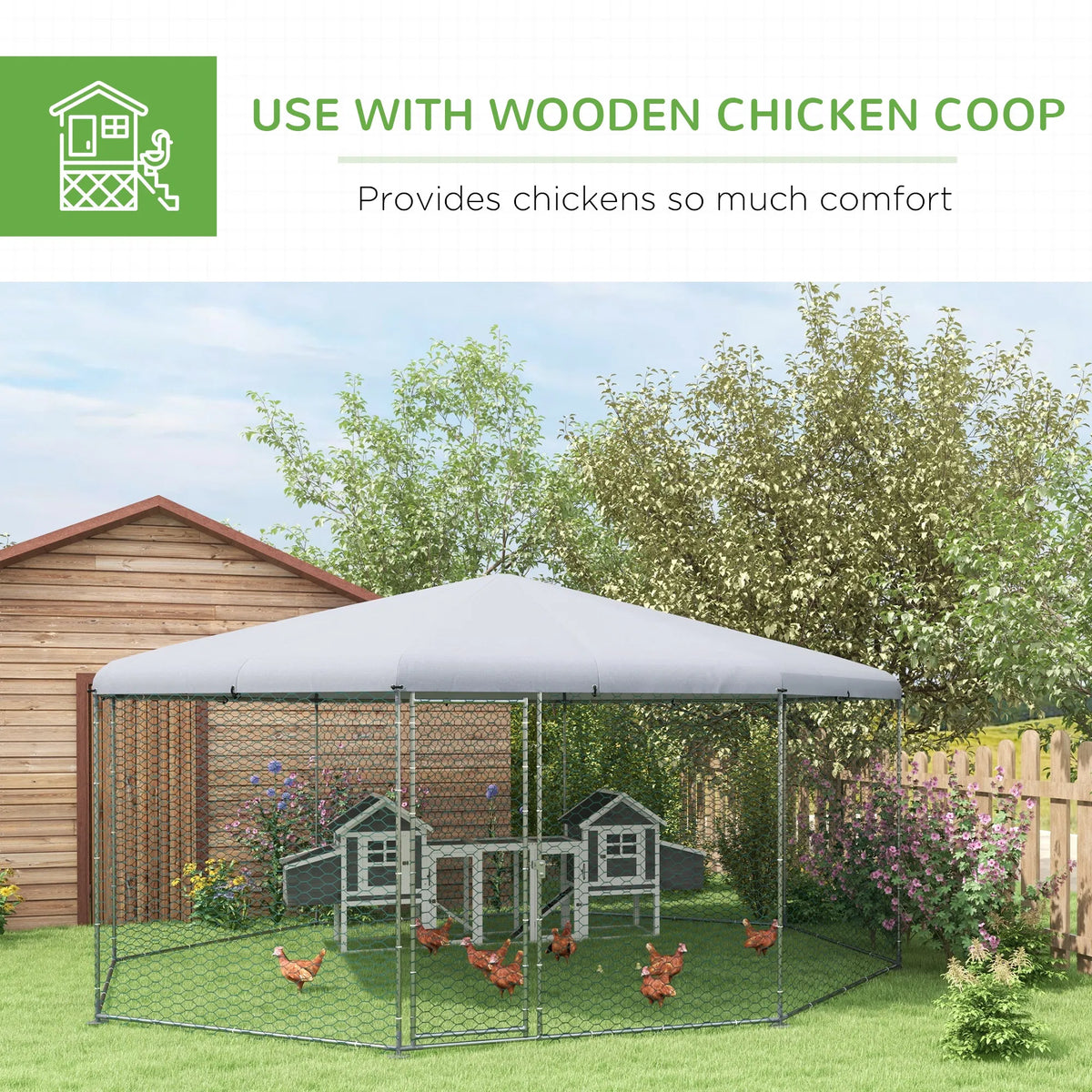 Chicken Coop