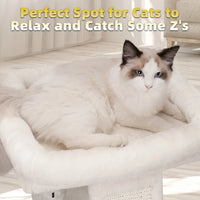 Cozy Beige Cat Tree with Condo, Scratch Post, Hammock & Fun Hanging Balls for Your Feline Friends - BIG FRENCHIES