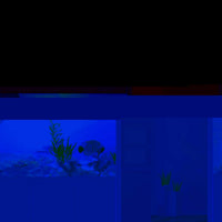 Aquarium Poster, Effect Underwater Background Sticker Thicken PVC Adhesive Static Cling Backdrop Fish Decorative Paper(61×30Cm) - BIG FRENCHIES