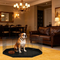 Pet Fence for Outdoor
