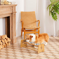 Elevated Dog Bowls for Cats and Dogs - BIG FRENCHIES