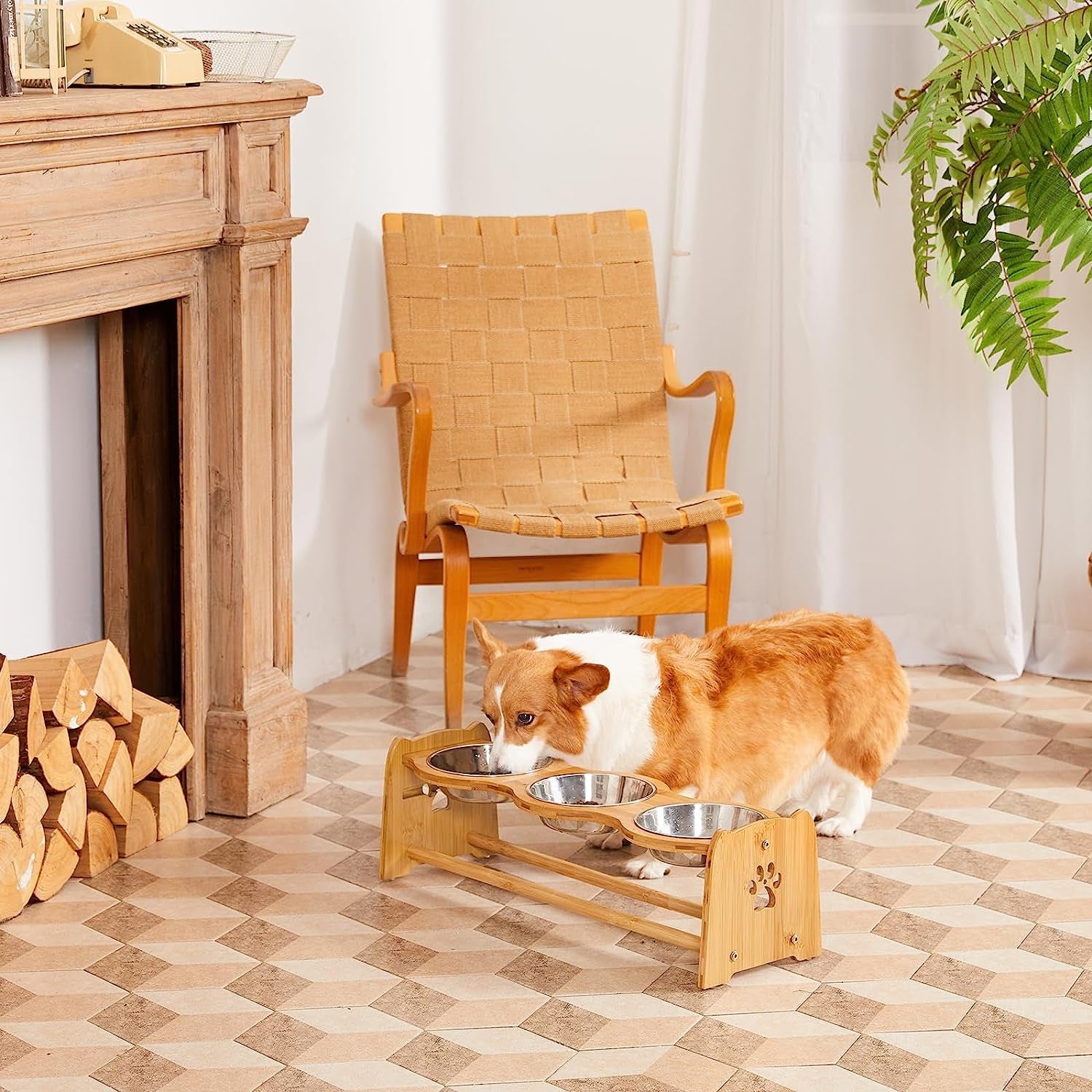 Elevated Dog Bowls for Cats and Dogs - BIG FRENCHIES