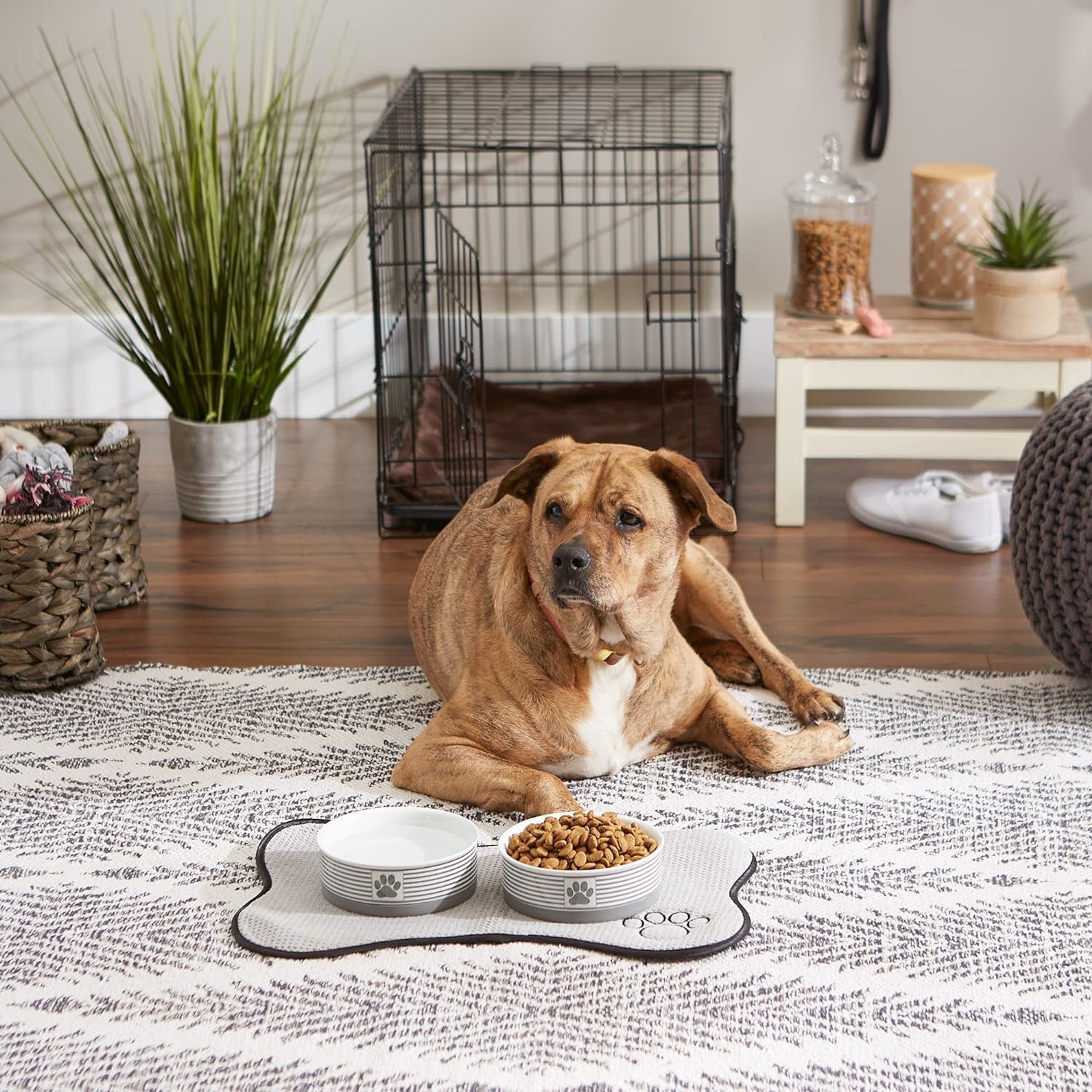 Paw & Patch Ceramic Pet Collection, Medium Set, 6X2", Gray, 2 Piece - BIG FRENCHIES