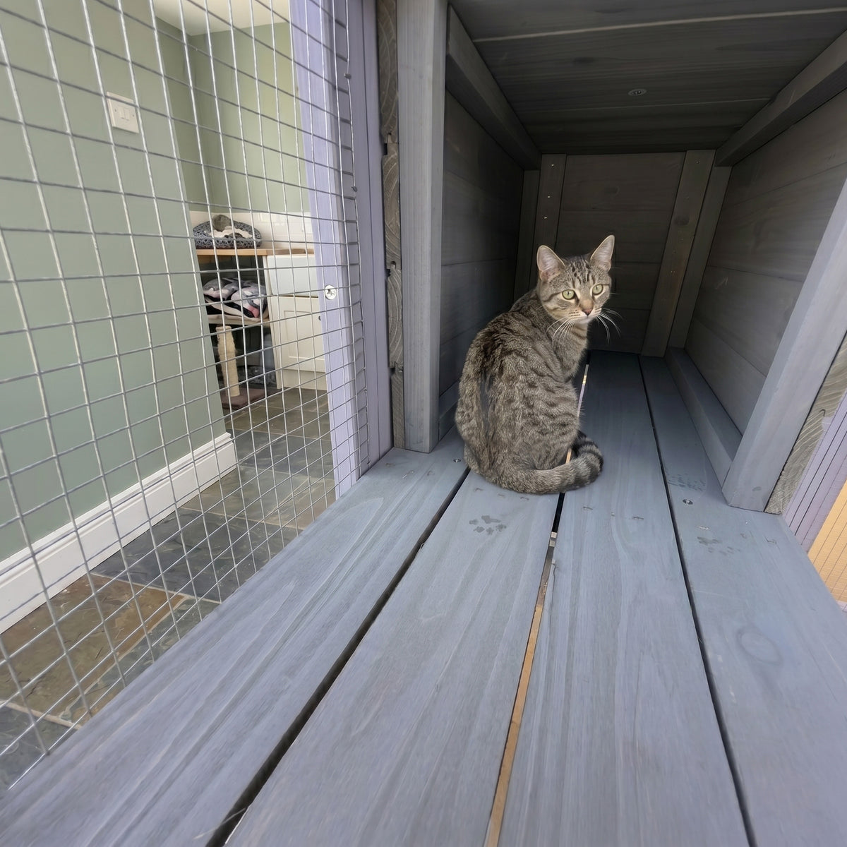 62.6" Wooden Outdoor Catio for Cats, Large Cat Enclosure with Waterproof Roof, 2 Napping House, Platforms & Galvanized W