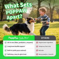 Dog Probiotics Digestive Enzymes,Pumpkin Fiber Chews For Gut Health, Constipation Upset Stomach Relief, Gas & Stool Supp