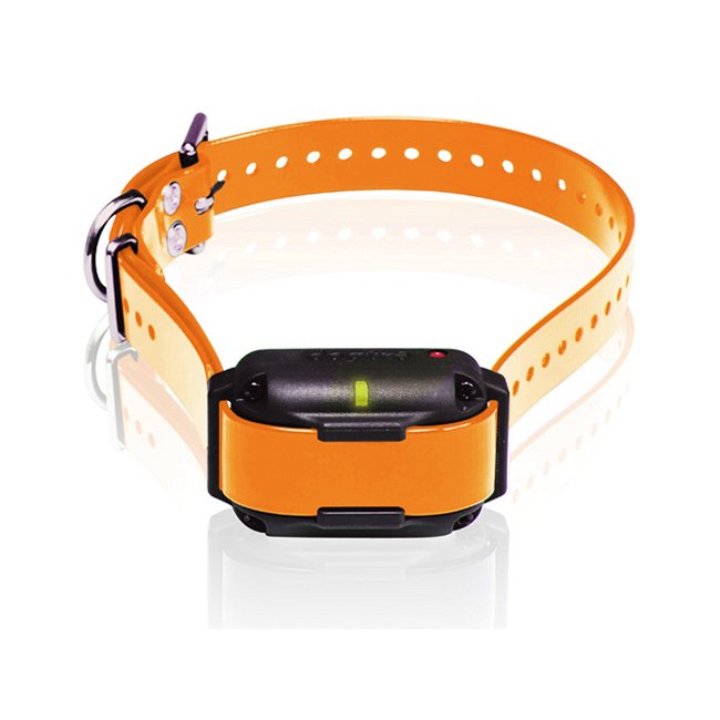 Dogtra EDGE RT Additional Receiver Collar in Orange - Add-On Collar for the EDGE RT System Only