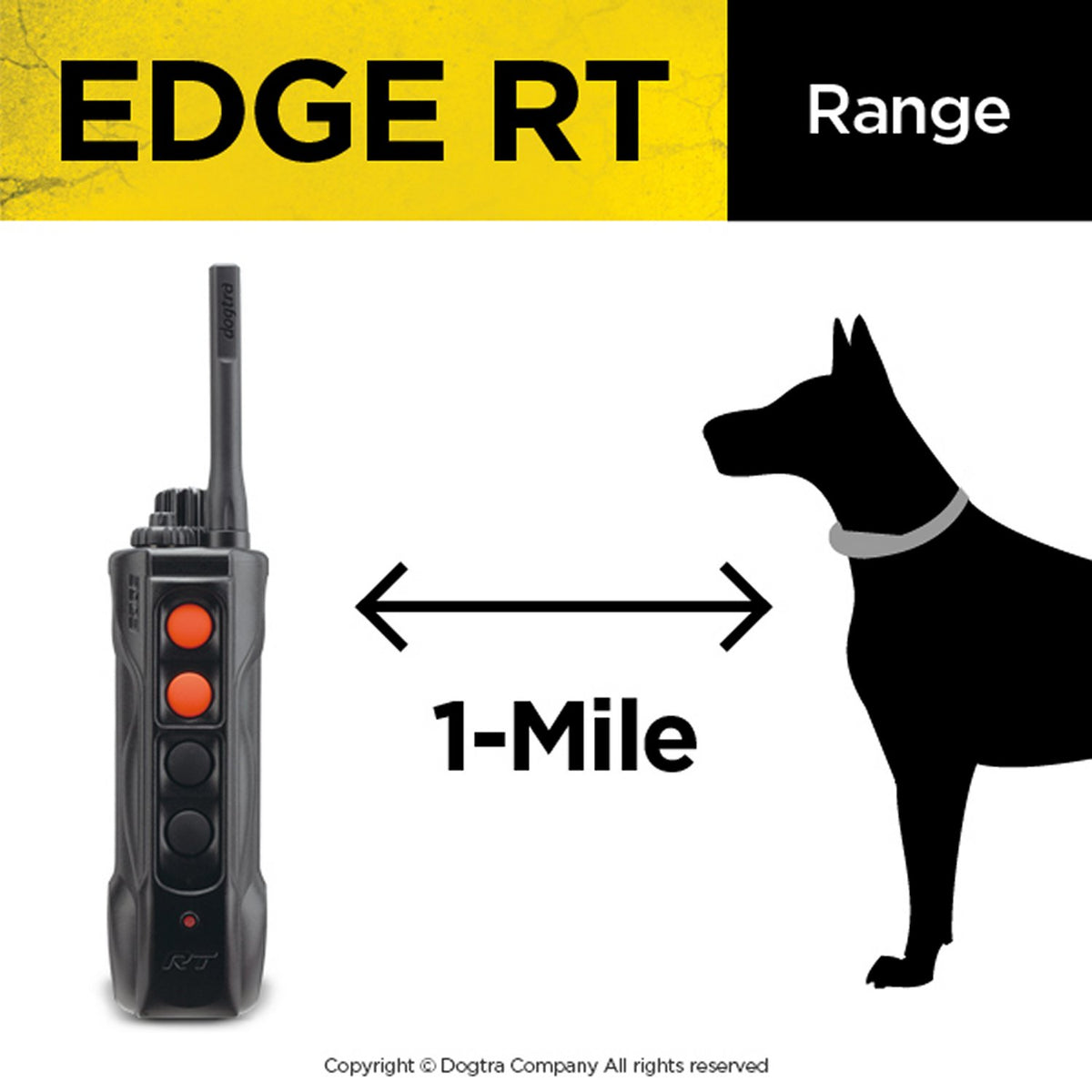 Dogtra EDGE RT 1-Mile Remote Training Collar - No-Look One-Hand Transmitter, Expandable to 3 Dogs