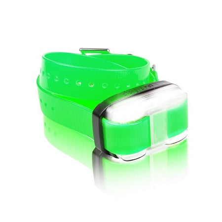 Dogtra EDGE 1-Mile Additional Receiver Collar - Green Add-On for the Expandable EDGE Training System