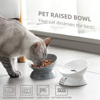 Ceramic Raised Cat Bowls - BIG FRENCHIES