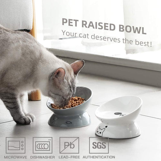 Ceramic Raised Cat Bowls - BIG FRENCHIES