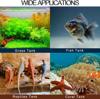 Digital Aquarium Thermometer - BIG FRENCHIES