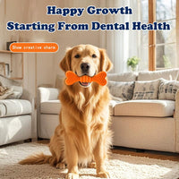 Dog Chew Toys Two-pack Dog Toothbrush Care Cleaning Stick Toothbrush Chew Stick For Dog Dental Care Safe Tooth Protectio