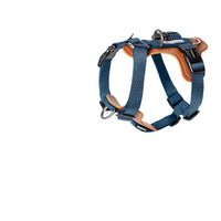 Dog Leash Explosion-proof Puppies Type