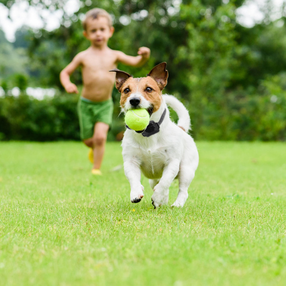 1Set Wireless Electric Dog Fence Pet Shock Boundary Containment System Electric Training Collar For Small Medium Large D