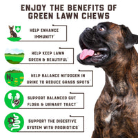 Green Lawn Chews for Dogs Urine Neutralizer Cranberry ACV & Enzymes
