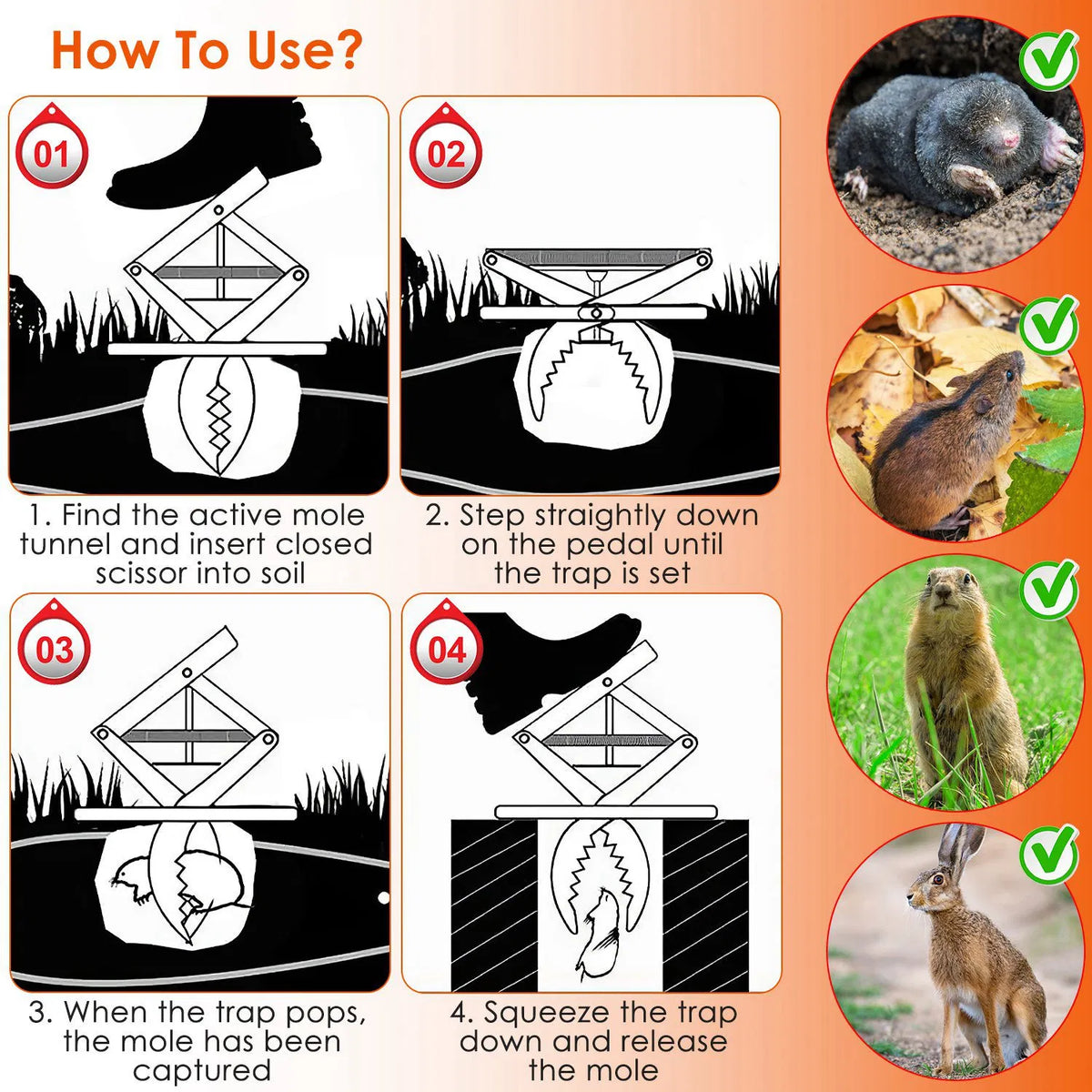 2PCS Easy Setup Mole Traps Outdoor Reusable Scissor Mole Gopher Rodent Control Trap Solid Metal Material For Lawn Garden