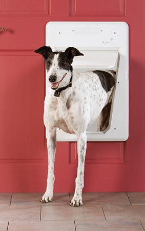 PetSafe Electronic SmartDoor Pet Door, Large - Collar Key Access for Pets up to 100 lb, 3 Programmable Modes