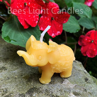 African Elephant Beeswax Candle - BIG FRENCHIES
