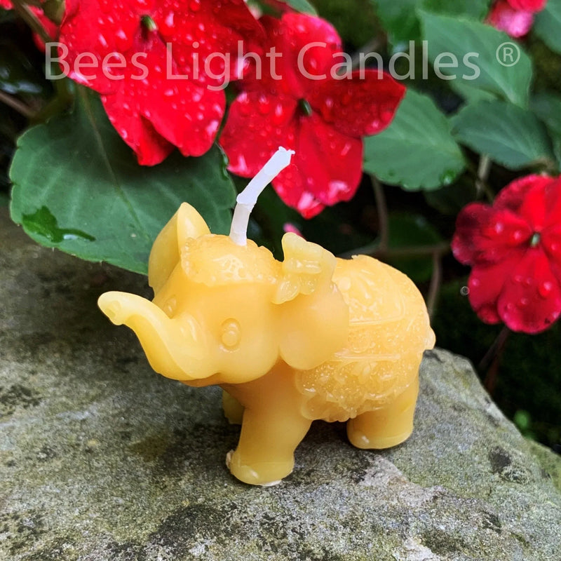 African Elephant Beeswax Candle - BIG FRENCHIES