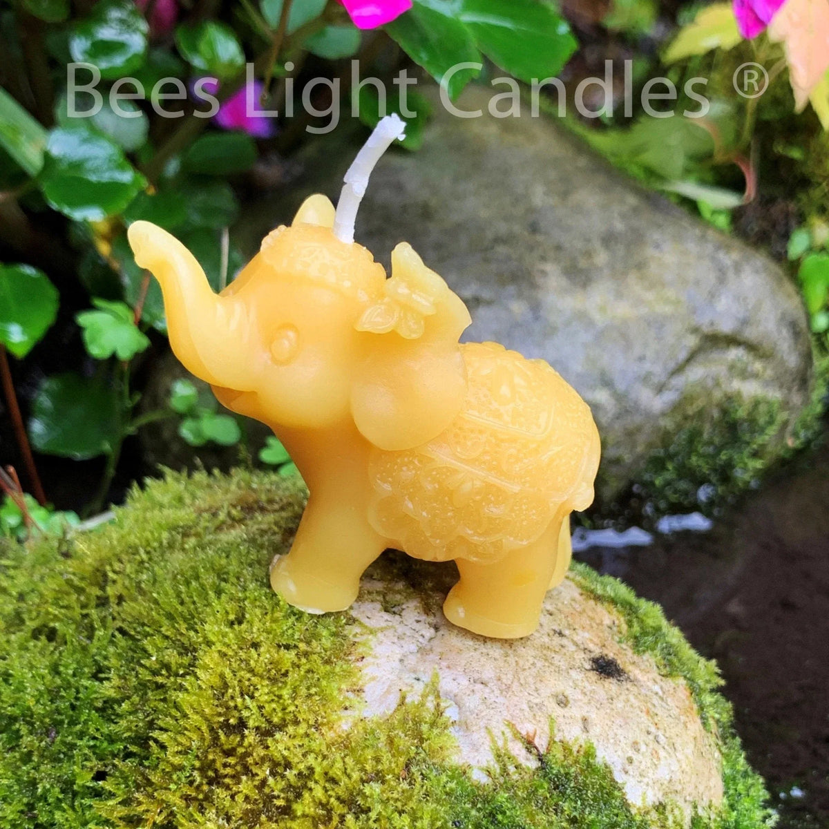 African Elephant Beeswax Candle - BIG FRENCHIES