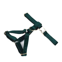 Personalized Green Velvet Classic Set