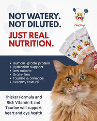 Lickable Cat Treats Grain Free Taurine High Protein Puree Toppers 20 Tubes