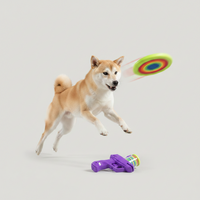 2-in-1 Disc Bullet Launcher Toy