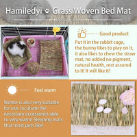The Ultimate Chew-athon: 12 Grass Mats for Your Furry Friends' Snack Time and Nap Zone! - BIG FRENCHIES
