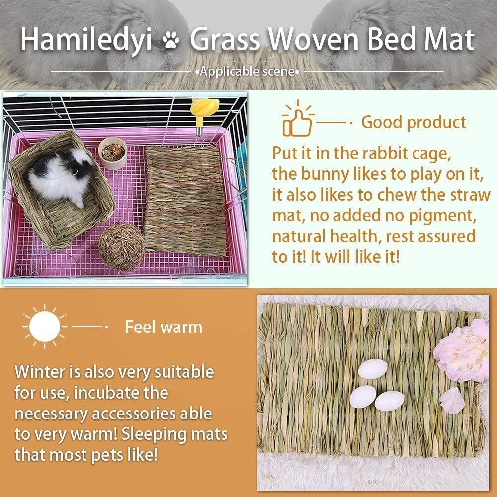 The Ultimate Chew-athon: 12 Grass Mats for Your Furry Friends' Snack Time and Nap Zone! - BIG FRENCHIES