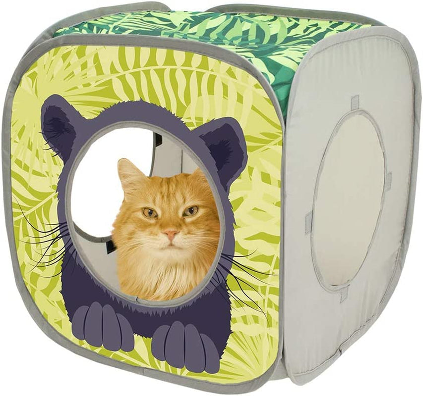 Collapsible Cat Cube - BIG FRENCHIES
