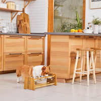 Elevated Dog Bowls for Cats and Dogs - BIG FRENCHIES