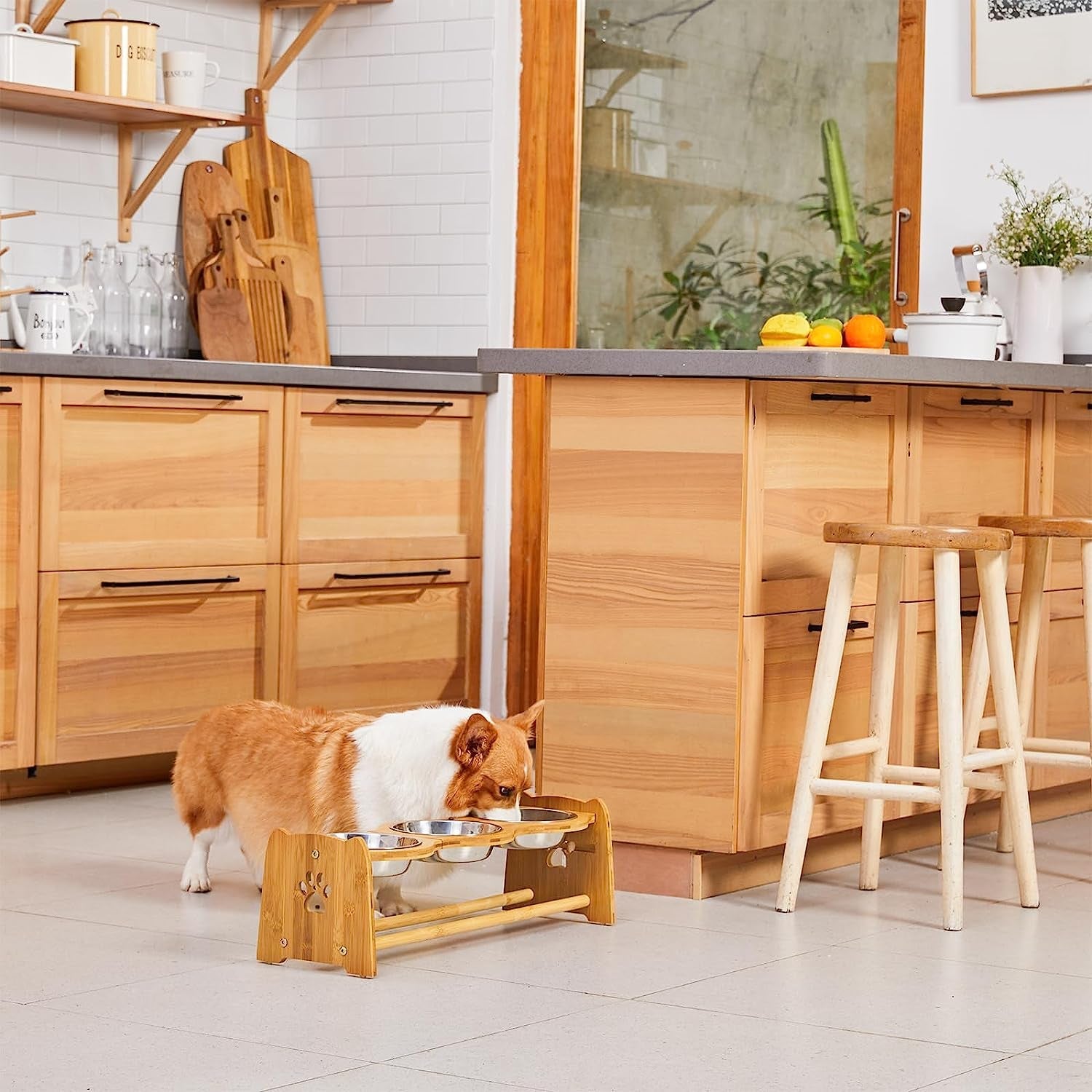 Elevated Dog Bowls for Cats and Dogs - BIG FRENCHIES