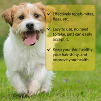 Cat And Dog Cleaning External Fleas Lice Ticks Skin Care