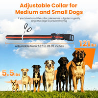 Dog Training Collar with Remote Rechargeable Dog Training Collar IP68 Waterproof with 4 Training Modes 3 Channels for Me