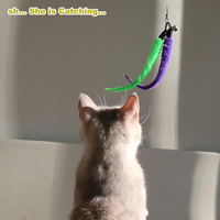 Cat Toys For Indoor Cats, Interactive Cat Toy 2PCS Retractable Wand Toy And 9PCS Cat Feather Toys Refills, Funny Kitten 