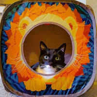 Collapsible Cat Cube - BIG FRENCHIES