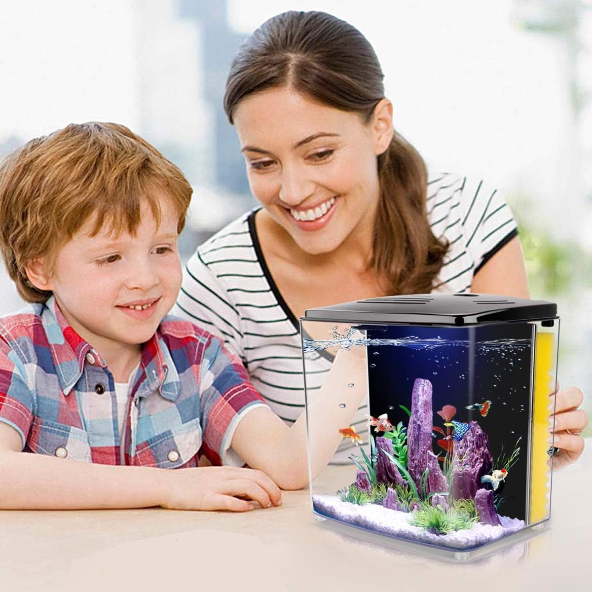 1.2 Gallon Betta Aquarium with LED Light and Filter Pump - BIG FRENCHIES