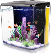 1.2 Gallon Betta Aquarium with LED Light and Filter Pump - BIG FRENCHIES