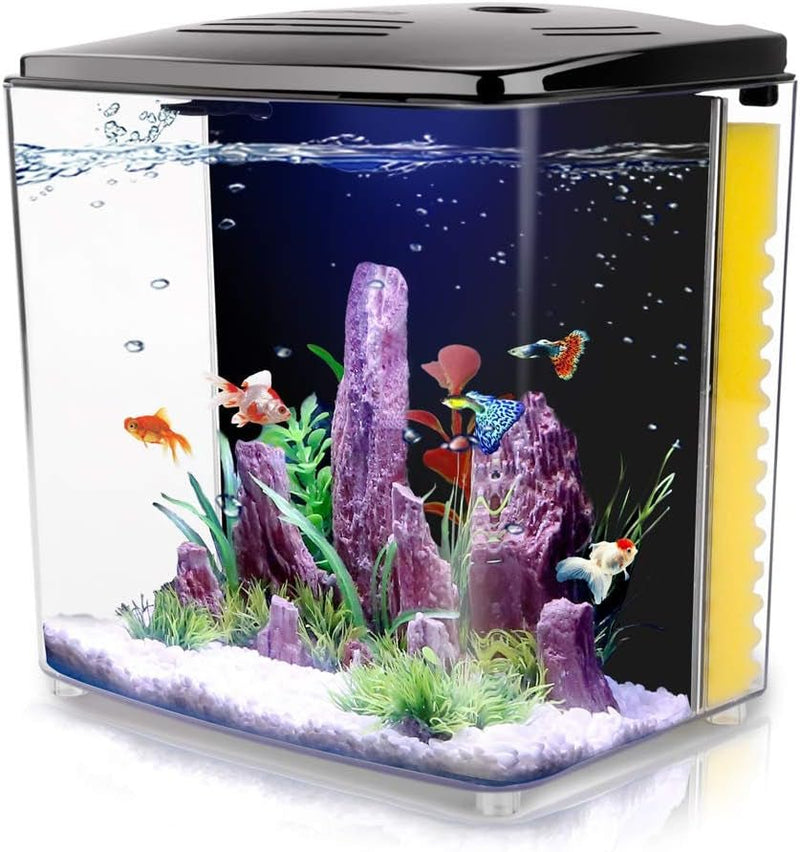 1.2 Gallon Betta Aquarium with LED Light and Filter Pump - BIG FRENCHIES