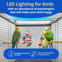 Happybird Lighting Bird Cage Light with Chew Guard - BIG FRENCHIES