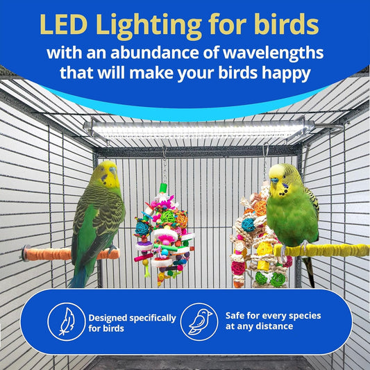 Happybird Lighting Bird Cage Light with Chew Guard - BIG FRENCHIES